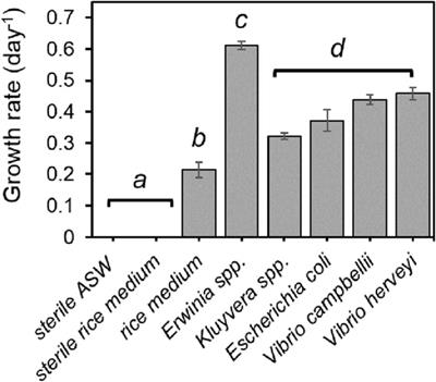 Biological Protective Effects Against Vibrio Infections in Grouper Larvae Using the Strombidium sp. NTOU1, a Marine Ciliate Amenable for Scaled-Up Culture and With an Excellent Bacteriovorous Ability